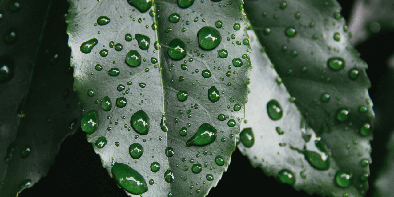 Solucionar humedades