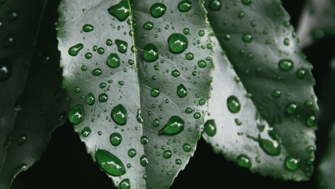 Solucionar humedades