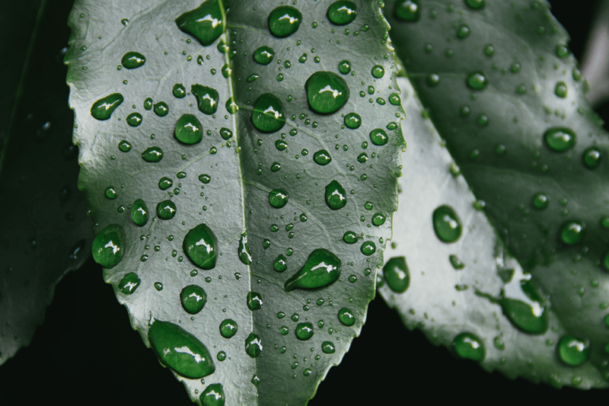 Solucionar humedades