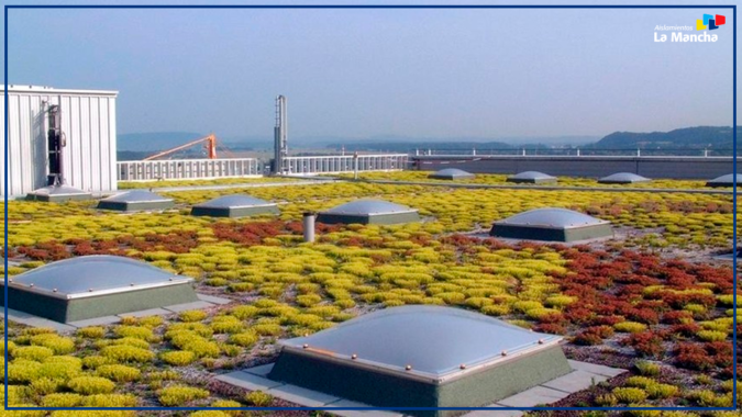 cubiertas verdes cubiertas verdes