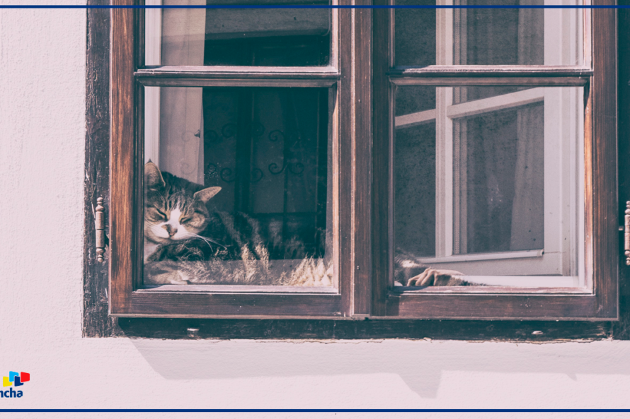 ventana con puente térmico aislamiento