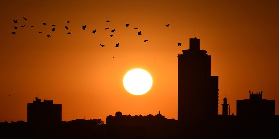 ahorrar luz en primavera ahorrar luz en primavera