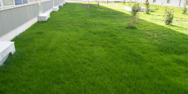 JARDINERAS Y CUBIERTAS VEGETALES