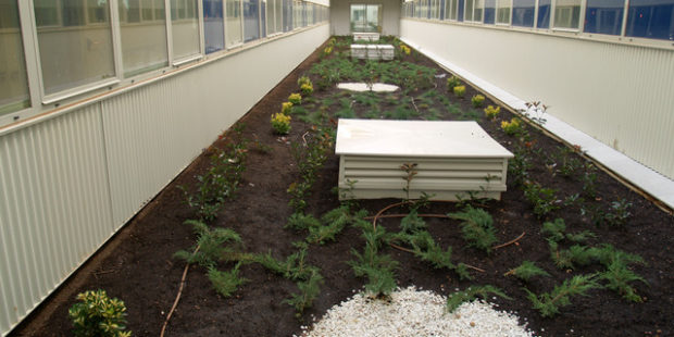 JARDINERAS Y CUBIERTAS VEGETALES