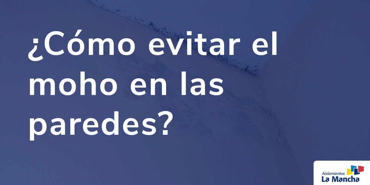 ¿Cómo evitar el moho en las paredes?
