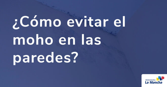 ¿Cómo evitar el moho en las paredes?
