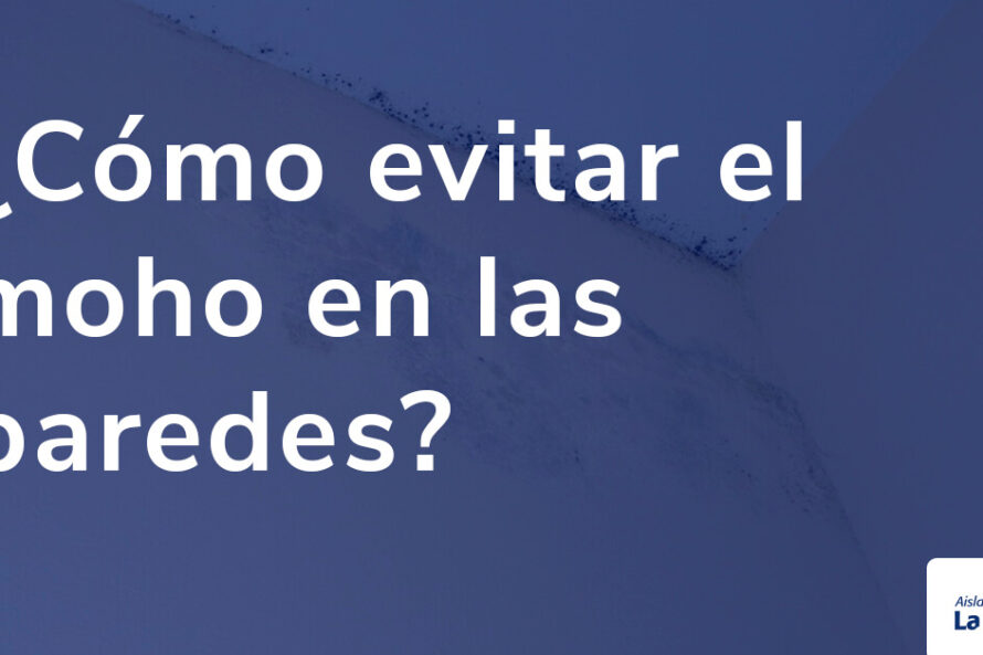 ¿Cómo evitar el moho en las paredes?